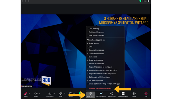 Symposium Zoom Security