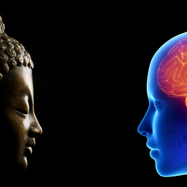 buddhism brain