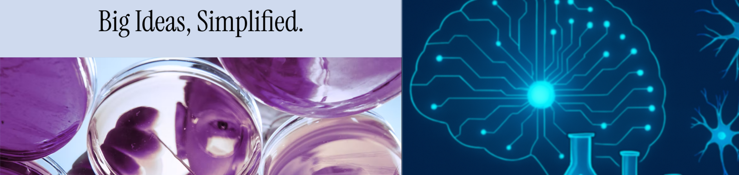 brainbites banner