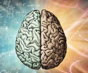 neuroscience of learning