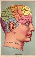 A phrenology diagram of a human head. 