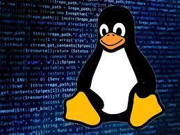 The Linux logo of a peguin 