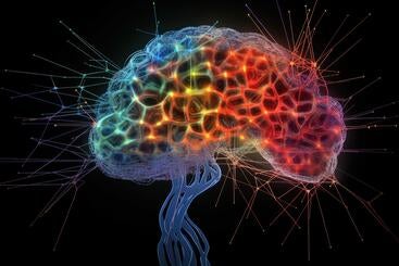 A colorful image of the human brain with the nurons highlighted